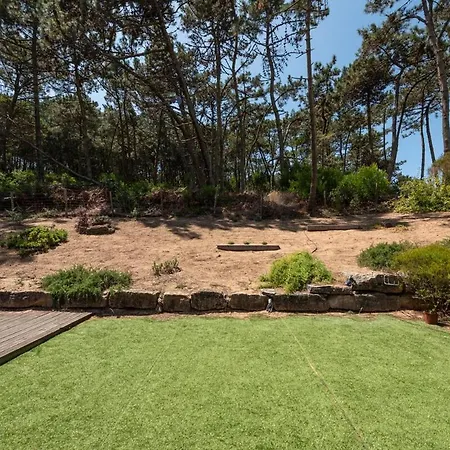 Sintra - Grande Village コラレス